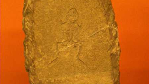 MONSECOBATRACHUS GAUDRYI