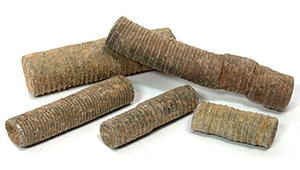 SCYPHOCRINITES
